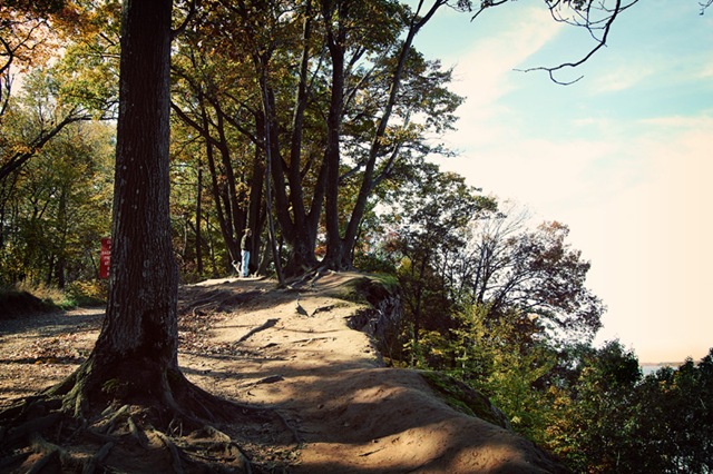 [DSC_0579 copy 2[4].jpg]